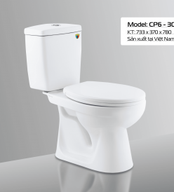 BÀN CẦU KÉT RỜI CP6 - 301
