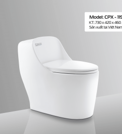 BÀN CẦU CPX - 119