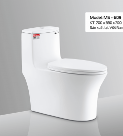 BÀN CẦU MS - 609