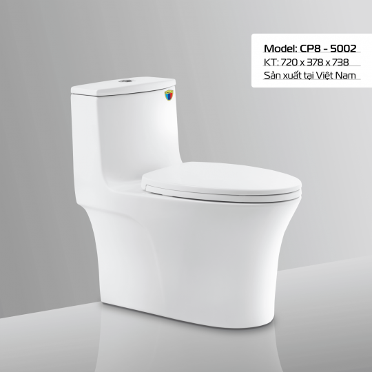 BÀN CẦU CP8 - 5002