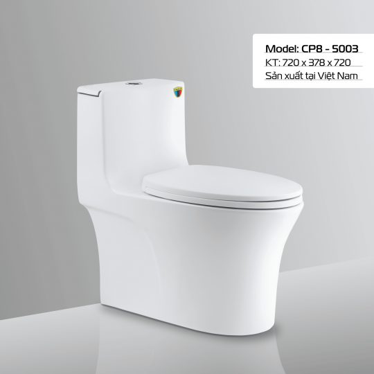 BÀN CẦU CP8 - 5003