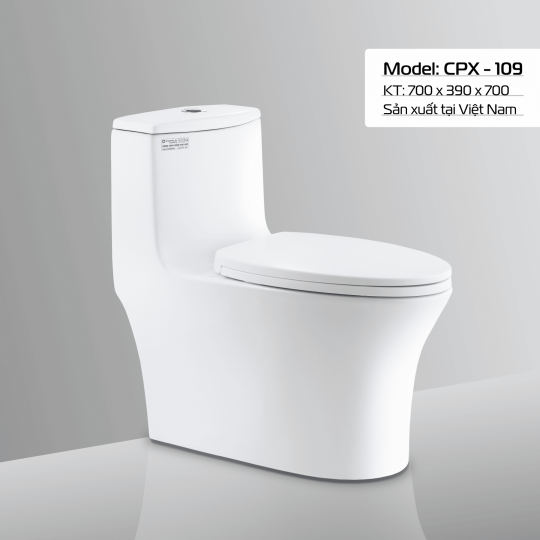 BÀN CẦU CPX - 109