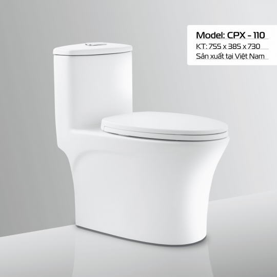 BÀN CẦU CPX - 110