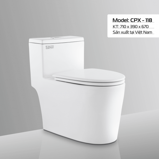 BÀN CẦU CPX - 118