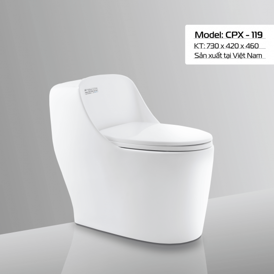 BÀN CẦU CPX - 119
