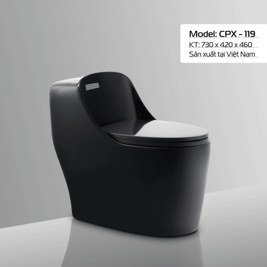 BÀN CẦU CPX - 119 MÀU ĐEN