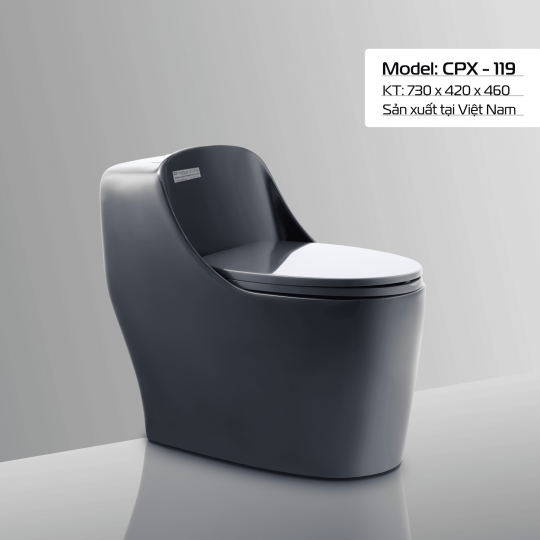 BÀN CẦU CPX - 119 MÀU XÁM