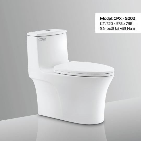 BÀN CẦU CPX - 5002