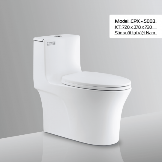 BÀN CẦU CPX - 5003