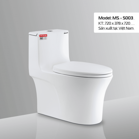 BÀN CẦU MS - 5003