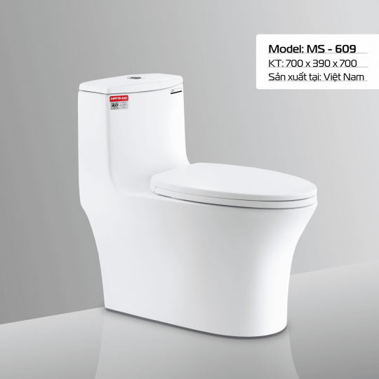 BÀN CẦU MS - 609