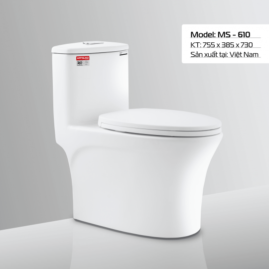 BÀN CẦU MS - 610