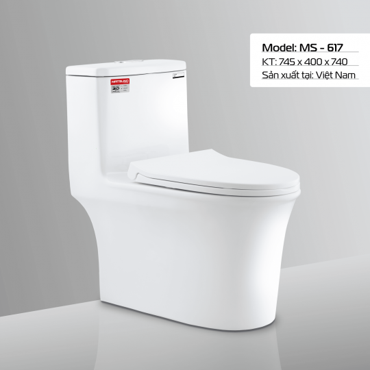 BÀN CẦU MS - 617