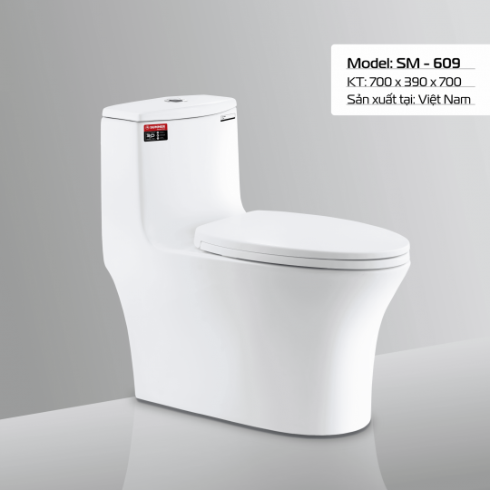 BÀN CẦU SM - 609