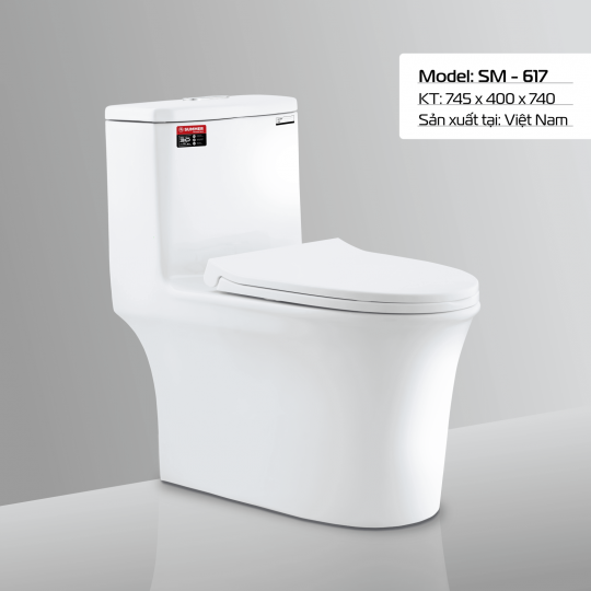 BÀN CẦU SM - 617